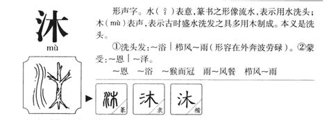 沐字五行|沐的五行属什么,沐字的五行属性,沐的寓意